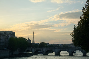 Typical view of Paris with Pont-Neuf and Seine river  at sunset. Eiffel Tower can be seen in the background.