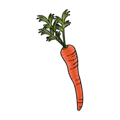 carrot vegetable icon over white background. vector illustration