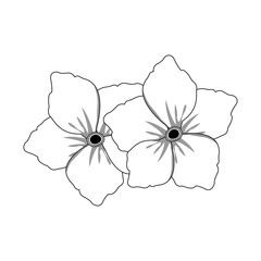 beautiful flower icon over white background. vector illustration