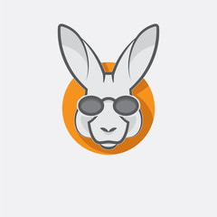 Stylish kangaroo with glasses