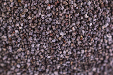 Dry poppy texture