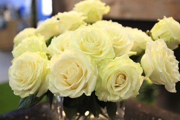 Bunch of beautiful white roses