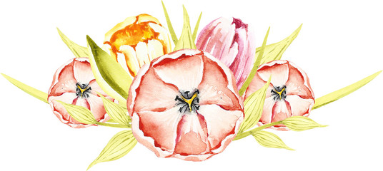 Акварельные цветы весенние тюльпаны
