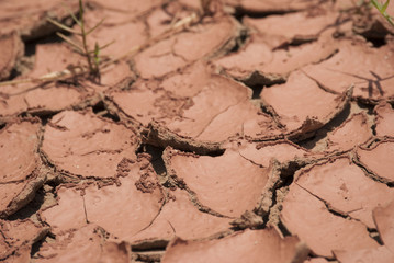 Dry cracked ground
