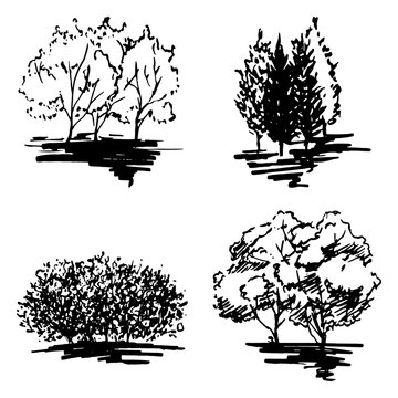 Monochrome tree silhouette sketched line art set isolated vector