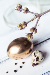 Easter Eggs Life Style Photography