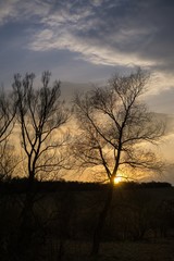 Sunset on meadow with hills and tree. Slovakia