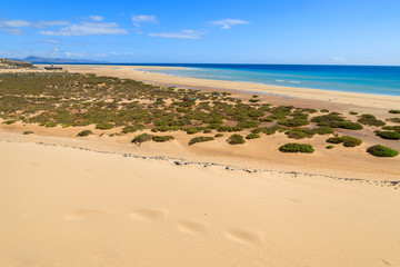 Fototapeta na wymiar Sand dune on Sotavento beach on Jandia peninsula, Fuerteventura, Canary Islands, Spain