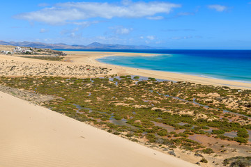 Sand dune on Sotavento beach on Jandia peninsula, Fuerteventura, Canary Islands, Spain