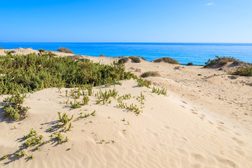 View of sand dunes and ocean in Corralejo National Park, Fuerteventura, Canary Islands, Spain