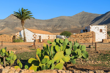 Traditional farm house in Tefia village with cactus plants in foreground, Fuerteventura, Canary Islands, Spain © pkazmierczak