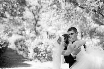 Bride and groom kissing in the park