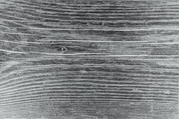 Obraz premium Surface of wood texture with natural pattern