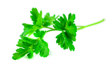 Fresh green parsley isolated on white background, food ingredient