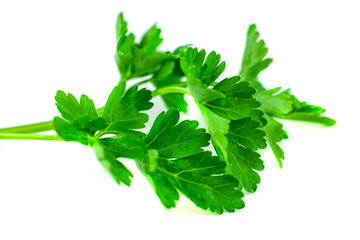 Fresh green parsley isolated on white background, food ingredient