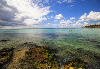 Caribbean  reef