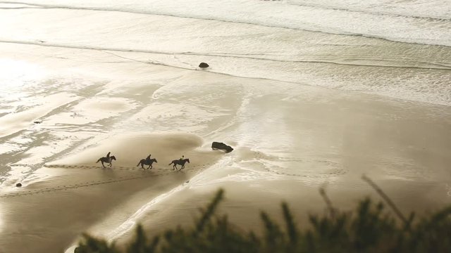 Aerial view of people riding horses at gallop on the beach