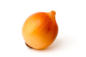 Ripe onion on a white background, closeup