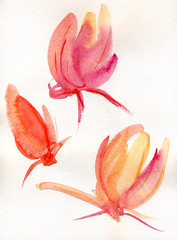 Watercolors, pink tulips/Акварельные цветы, розовые тюльпаны