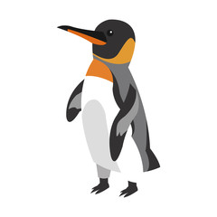 penguin cartoon icon over white background. colorful design. vector illustration