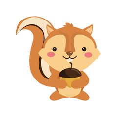 squirrel cartoon icon over white background. colorful design. vector illustration