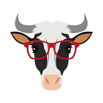 Cow With Glasses Icon Over White Background. Hipster Style Concept. Colorful Design. Vector Illustration