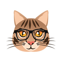 cat with glasses icon over white background. hipster style concept. colorful design. vector illustration