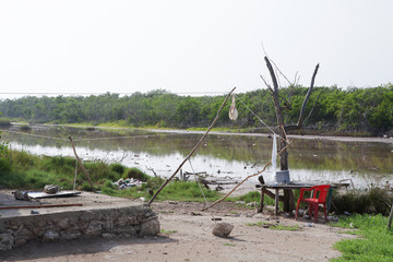 Fototapeta na wymiar back yard near lagoon with rope and red chair