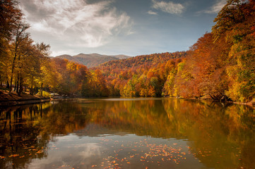 Fototapeta na wymiar Forest Lake, Wild Autumn Nature 