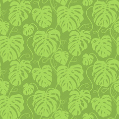 Seamless vector pattern of greenery leaves Monstera. Exotic tropical repeat ornament
