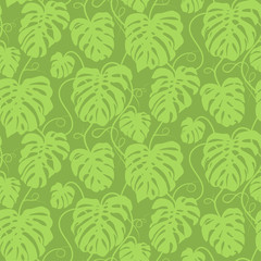 Seamless vector pattern of greenery leaves Monstera. Exotic tropical repeat ornament