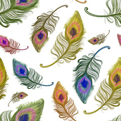 Hand drawn colorful feathers used for seamless wallpaper,  illustration painted by pencil on the white background, high quality