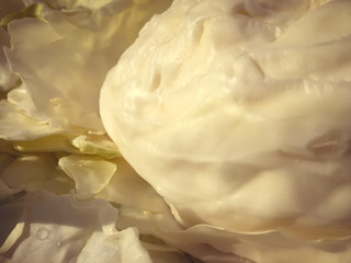 Macro closeup shot of cabbage natural texture surface background