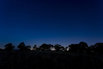Stars in Night Sky