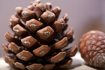 Natural cones