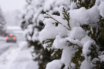 Winter, Canada,  Snow