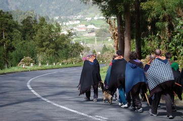 Obraz premium Romarias de São Miguel, Açores, Portugal 
