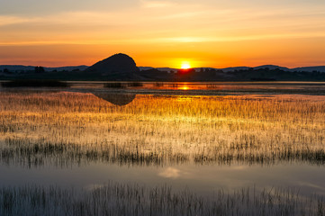 The sunrise on the grassland.