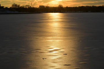 Tidal Basin