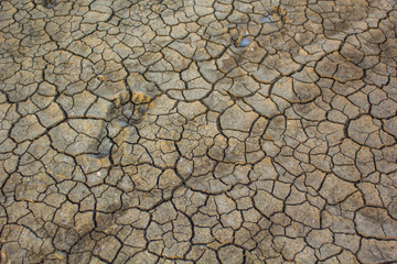 Dry ground