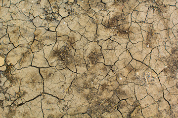 Dry ground