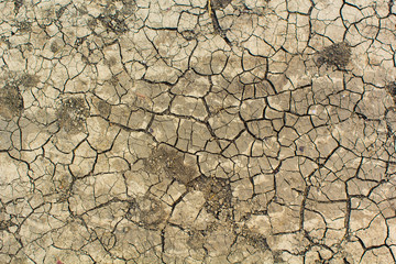 Dry ground