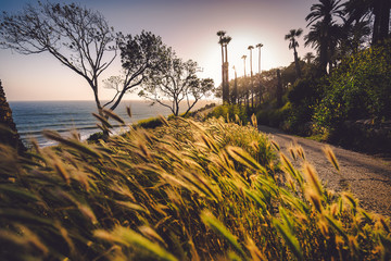 Magic hour glow all over place