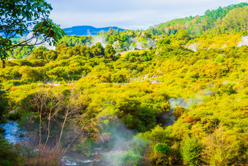 Rotorua, New Zealand -Geyserland