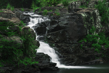 Gardners Falls in Maleny, Sunshine Coast