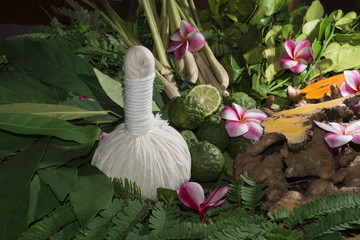 Ayurveda herbs and massage pouch