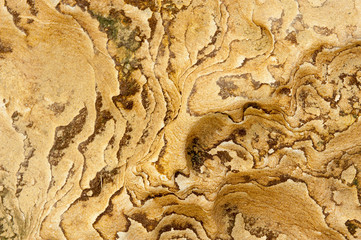natural texture and pattern on the rock weathered by sea water, wind and see breeze, located at Yehliu National Park in Taiwan