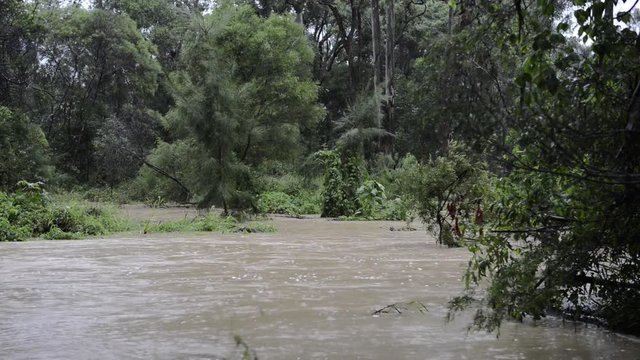 Fast flowing flood waters in Brisbane, Queensland after heavy rain.