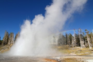 Grand Geyser in Yellowstone