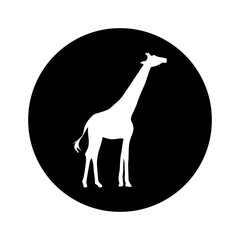 giraffe animal isolated icon vector illustration design